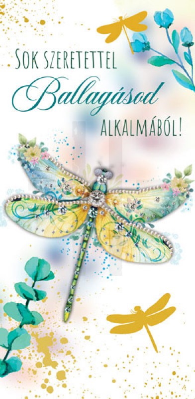 Üdvözlőlap ballagásra Ajándék csomagolás Üdvözlőlap ballagásra Ajándék csomagolás