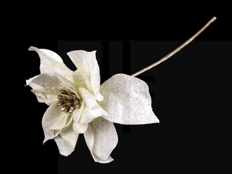 Mikulás virág fagyos - 35 cm Virág, toll, növény