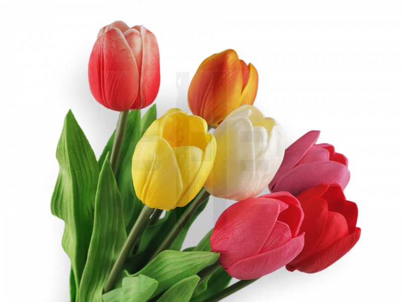                Mesterséges tulipán hosszú Virág, toll, növény