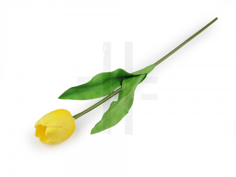                Mesterséges tulipán hosszú Virág, toll, növény