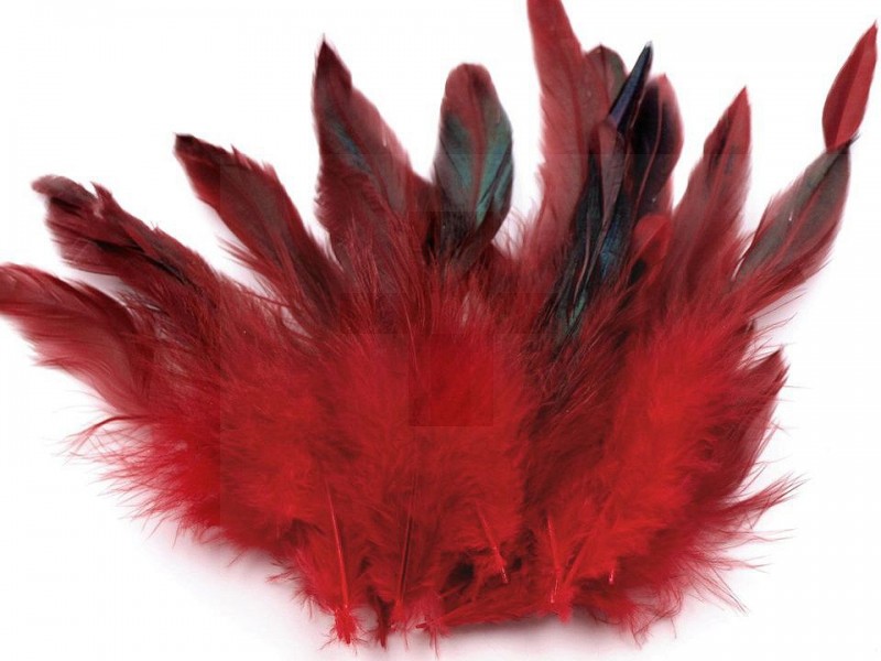 Tyúk toll színezett - 20 db/csomag Tyúk toll színezett - 20 db/csomag