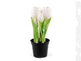           Élethű cserepes tulipán