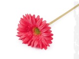                Mű gerbera hosszú szálas virág