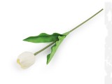                Mesterséges tulipán hosszú Virág, toll, növény