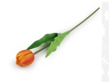                Mesterséges tulipán hosszú Virág, toll, növény