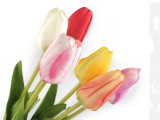                Szálas művirág tulipán hosszú