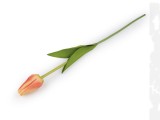                Szálas művirág tulipán hosszú