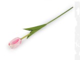                Szálas művirág tulipán hosszú