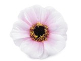 Tearózsa - 35 db/csomag Esküvői díszítés