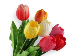                Mesterséges tulipán hosszú Virág, toll, növény