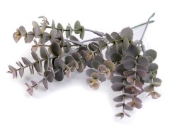 Mű eukaliptusz dekoráláshoz - 7 db Virág, toll, növény